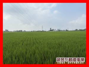 誠昱/東山區低總價方正農地