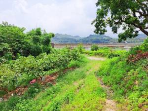 楠西曾文水庫路持分俗農地