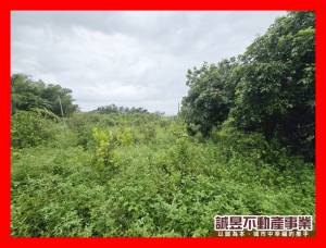 誠昱/山上果菜合作社平坦.